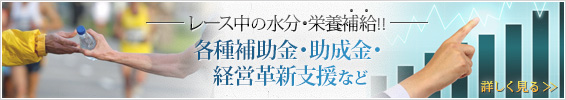 各種補助金・助成金・経営革新支援